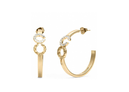 Gold Plated | Fashion Earrings